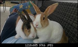 Danke f�r Euren Rat-20150730_190333.jpg