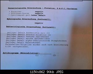 E. Coli Befall - keine klinischen Symptome-img_20190605_182249.jpg