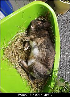Ich br�uchte dringend Rat-img_20190726_175828-min.jpg