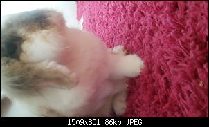 Schlimme Niesanf�lle! Was tun???-20190928_115645.jpg