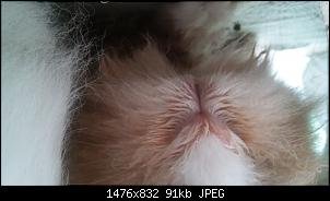 Schlimme Niesanf�lle! Was tun???-20190928_120027.jpg