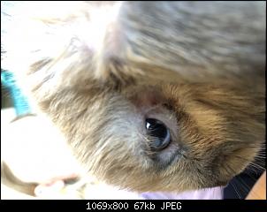 Blutig lecken-44ac3bdf-eb33-4bbf-8c08-f3be94e23f7c.jpg