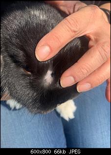 Klicke auf die Grafik f�r eine gr��ere Ansicht

Name:	zwei.jpg
Hits:	62
Gr��e:	65,7 KB
ID:	57629