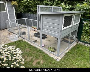 Kreislaufzusammenbruch und extremer Durst-18b4d29d-fb11-4912-bbb9-d7df5acff74a.jpeg