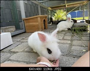 Kreislaufzusammenbruch und extremer Durst-d00003d3-064f-4f4d-b5cc-093e7175bf06.jpeg