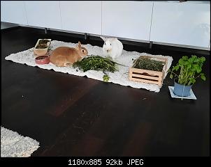 HILFE, was hat denn unser Bub?-20210816_063408.jpg