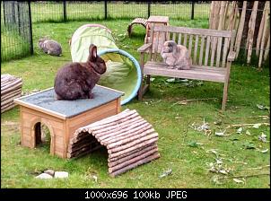 Magen�berladung Medikamente  Zeitabstand AKUT-garten-haus.jpg