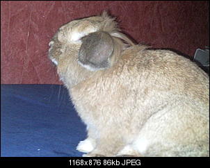 Klicke auf die Grafik f�r eine gr��ere Ansicht

Name:	P110817_203035.jpg
Hits:	397
Gr��e:	85,7 KB
ID:	9283