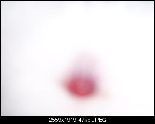 Blut am After-aussicht-013.jpg