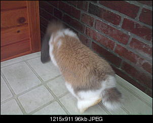 Gewicht-foto0096.jpg