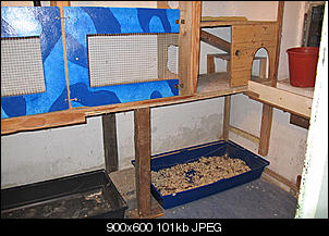 Neues Innengehege fast fertig-img_0831-kopie.jpg