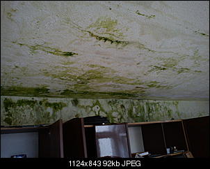 schimmel oder was?-dsc02426.jpg