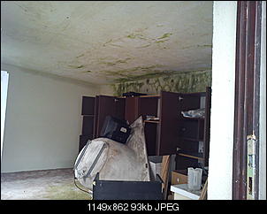 schimmel oder was?-dsc02427.jpg