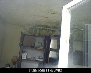 schimmel oder was?-dsc02430.jpg