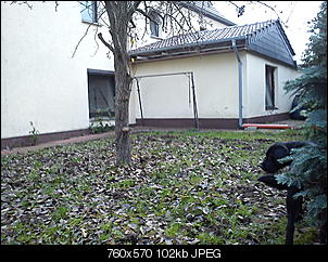 schimmel oder was?-dsc02431.jpg