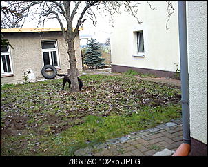 schimmel oder was?-dsc02432.jpg