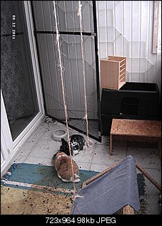 Kaninchenbalkon neugestalten-pict2236.jpg