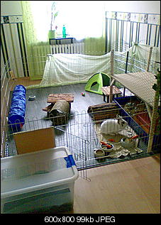 Fenstersitzplatz-bild041a.jpg