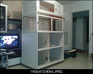 Neues Kaninchenheim!!!!-22.01.2012-021.jpg