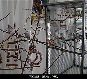 Neu im Forum: Welcher Bodenbelag f�r Gehege?-110-800x685-.jpg