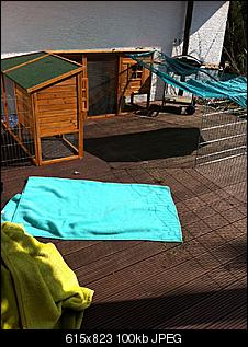 Au�engehege - Plan ist da, �berzeugung fehlt ;-)-auslauf_terrasse.jpg