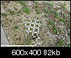 Klicke auf die Grafik f�r eine gr��ere Ansicht

Name:	kaninchenstall aussengehege pflastersteine.jpg
Hits:	1180
Gr��e:	82,5 KB
ID:	1373