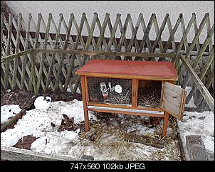 Gartenhaltung (ca. 200qm)-lala-105.jpg