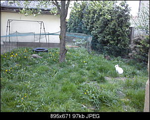 schimmel oder was?-dsc03558.jpg