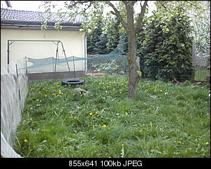 schimmel oder was?-dsc03560.jpg