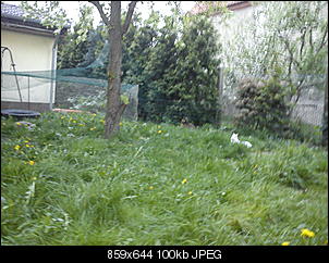 schimmel oder was?-dsc03561.jpg