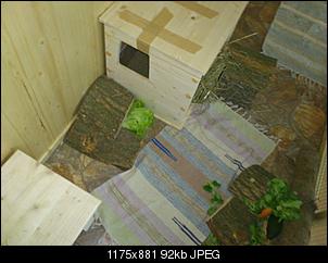 Innengehege ist fertig-dsc_0085.jpg