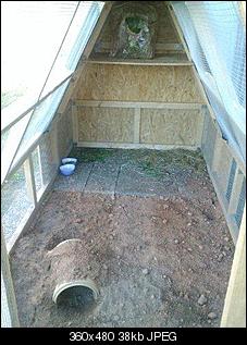 Nicki�s Kaninchenpyramide ist fertig-wp_001460.jpg