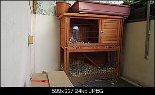 wie war das mit dem sch�n auf dem balkon drau�en sitzen und sonne genie�en?-dscf0326.jpg