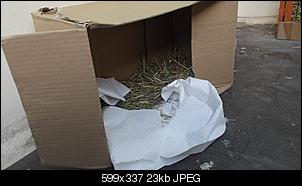 wie war das mit dem sch�n auf dem balkon drau�en sitzen und sonne genie�en?-dscf0327.jpg