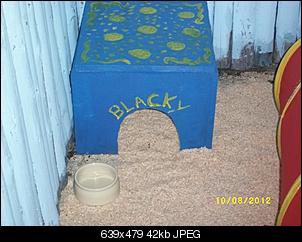 Bilder-aktion 'hasenh�tten'-spa%DF-sonstige-2012-464.jpg