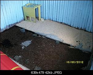 Bilder-aktion 'hasenh�tten'-spa%DF-sonstige-2012-462.jpg