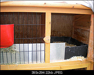 Klicke auf die Grafik f�r eine gr��ere Ansicht

Name:	Stall 2.jpg
Hits:	144
Gr��e:	22,1 KB
ID:	1735