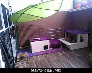Gehege umgestaltet - Fotos !  ;)-neues-bild547.jpg