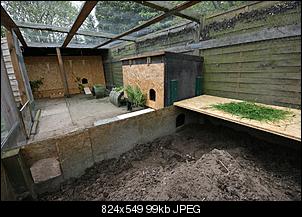 Unser Au�engehege - Lebensraum 5er-WG-img_0049.jpg