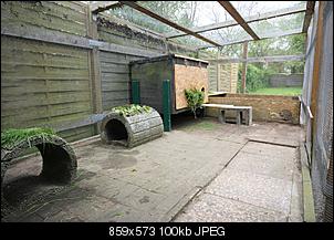 Unser Au�engehege - Lebensraum 5er-WG-img_0045.jpg