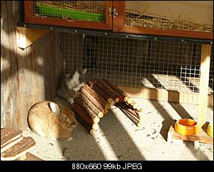 Nun wird es ernst, wir bauen einen gro�en Stall :-)-p1120354.jpg