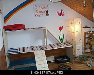 mein hoppelhausen-sdc10808.jpg