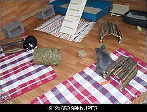 mein hoppelhausen-sdc10807.jpg