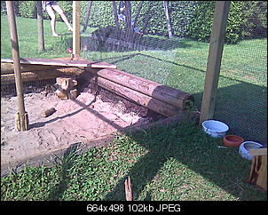 Kaninchenstall wird endlich gebaut:)-bild228.jpg