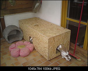 Schutzh�tte marke eigenbau...-dsc01297.jpg