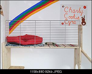 Klicke auf die Grafik f�r eine gr��ere Ansicht

Name:	SDC10831.jpg
Hits:	1009
Gr��e:	91,7 KB
ID:	1899