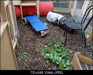 Rindenmulch als gehegeboden-sdc18026.jpg