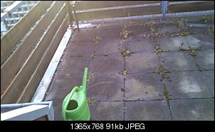 Terrassengehege-dsc_1017.jpg