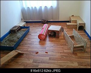 Innengehege Foto-Sammlung: Macht alle mit...-img-20130201-wa0001.jpg