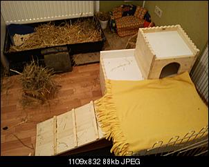 Innengehege Foto-Sammlung: Macht alle mit...-dsc07072.jpg